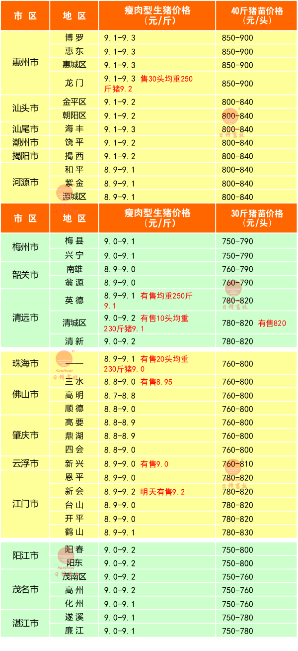 2月15日廣東豬價