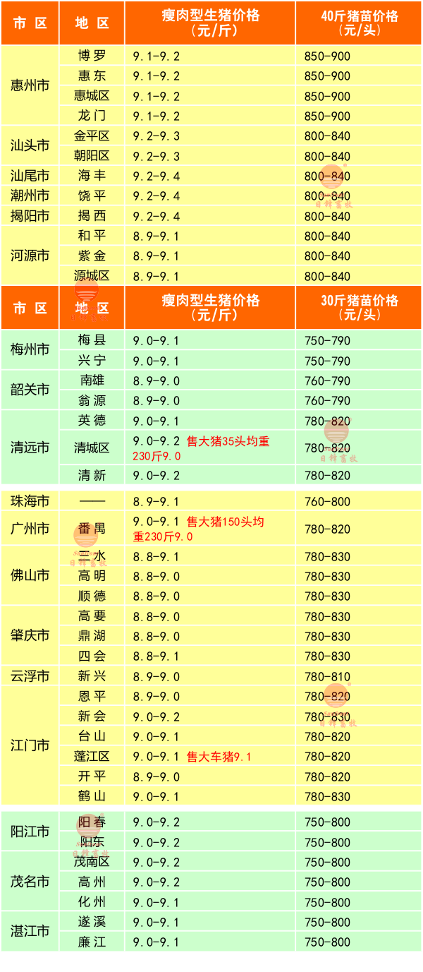 2月16日廣東豬價